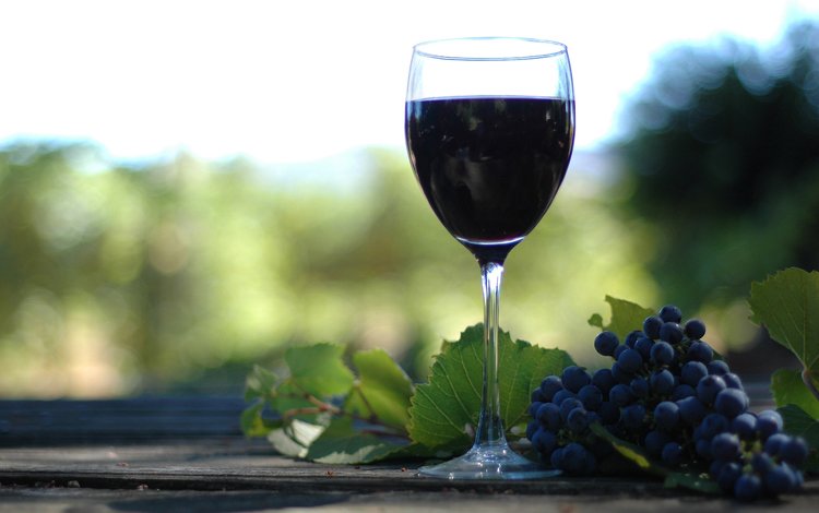разное, вино, винаград, бутилко, деревия, different, wine, winograd, butilka, derive