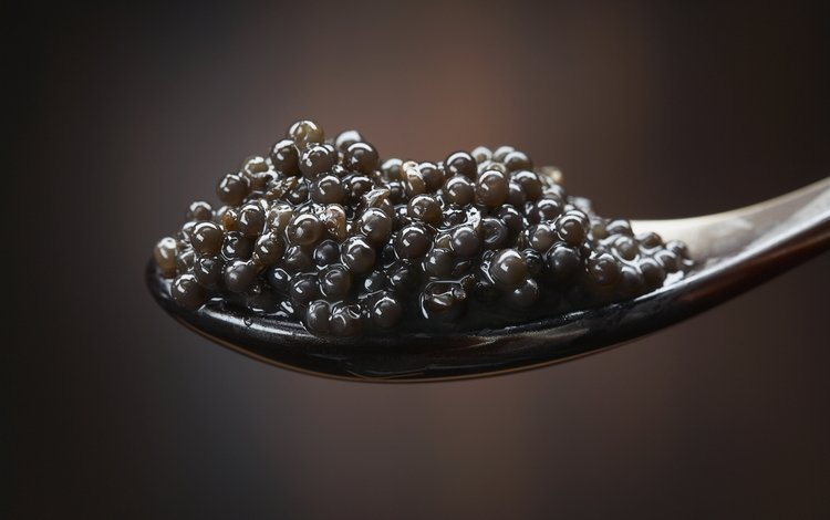 макро, черная, вкусно, икра, ложка, ням-ням, черная икра, macro, black, delicious, caviar, spoon, yum-yum, black caviar