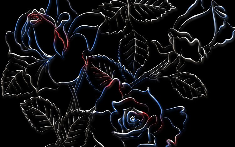 рисунок, розы, черный фон, figure, roses, black background