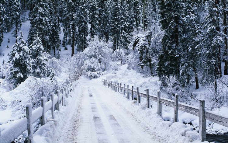 дорога, мостик, лес, зима, речка, зимний лес, road, the bridge, forest, winter, river, winter forest