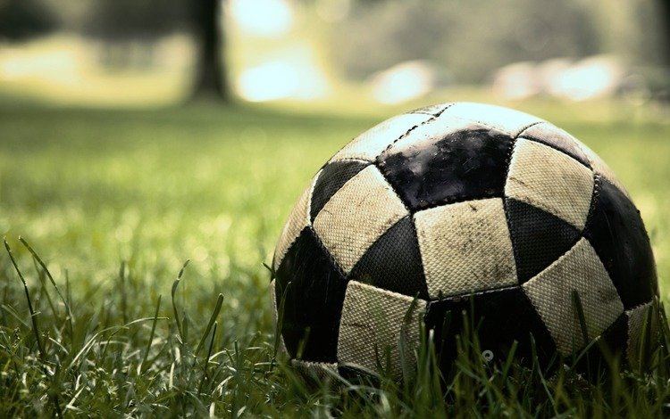 трава, зеленая, мяч, интересно, футбольный, grass, green, the ball, interesting, football