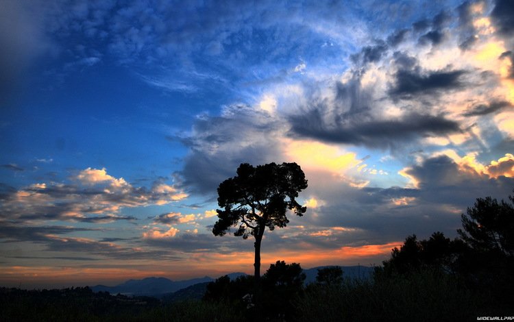 небо, облака, дерево, закат, the sky, clouds, tree, sunset