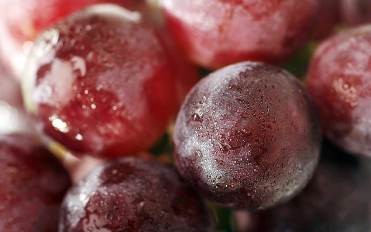 виноград, капли, крупным планом, красный виноград, grapes, drops, closeup, red grapes