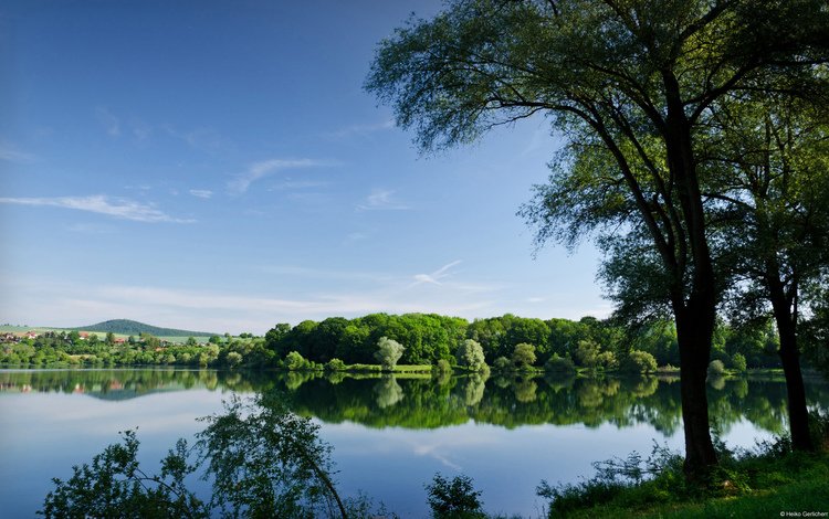 деревья, озеро, река, отражение, лето, водоем, trees, lake, river, reflection, summer, pond
