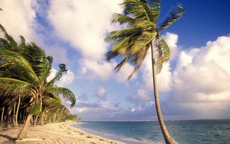 небо, облака, вода, пейзаж, море, песок, пляж, пальмы, the sky, clouds, water, landscape, sea, sand, beach, palm trees