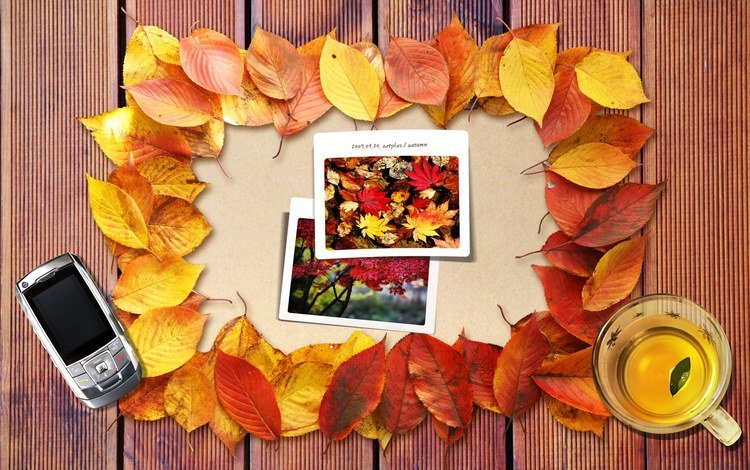 дизайн, креатив, фотографии, чашка, телефон, чай, осенние листья, design, creative, photos, cup, phone, tea, autumn leaves