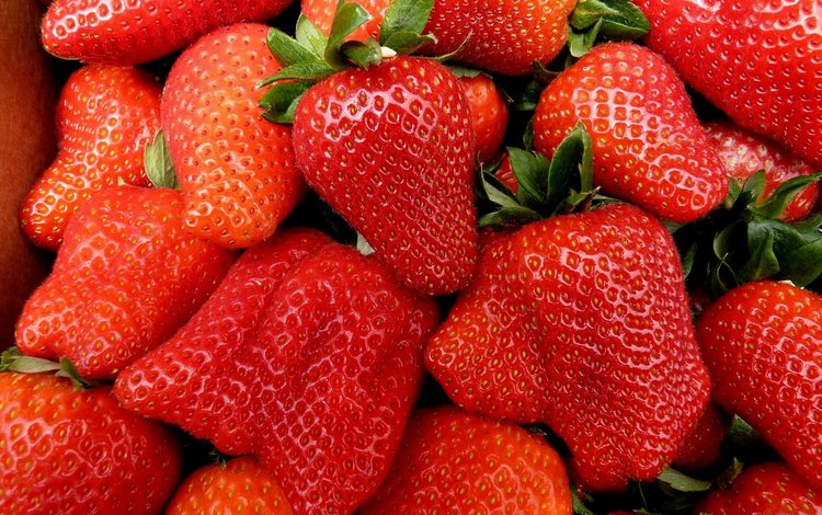 ягода, красная, клубника, спелая, сочная, berry, red, strawberry, ripe, juicy