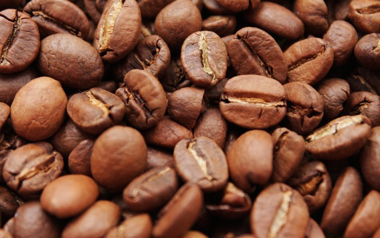 кофе, кофейные зерна, крупным планом, coffee, coffee beans, closeup