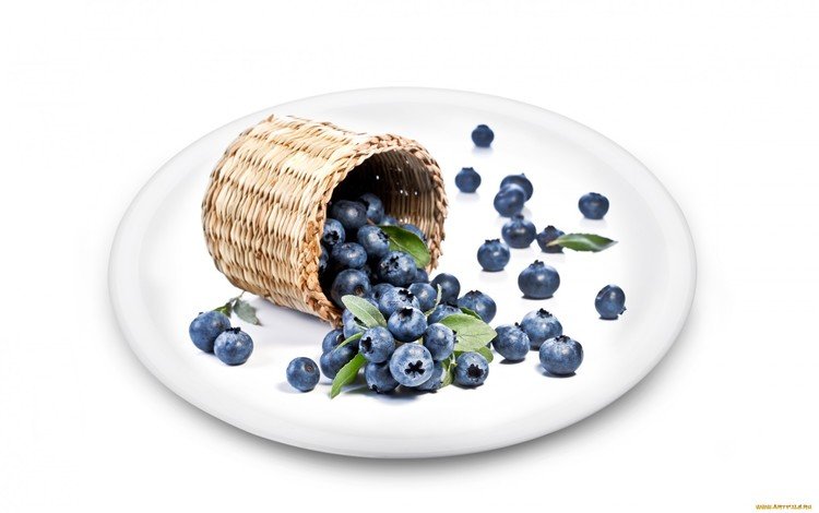 ягоды, белый фон, черника, тарелка, туесок, berries, white background, blueberries, plate, tuesok