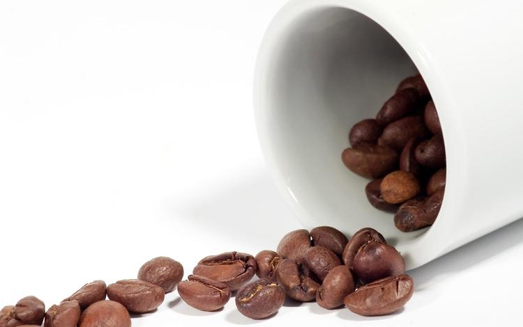 зерна, кофе, белый фон, grain, coffee, white background