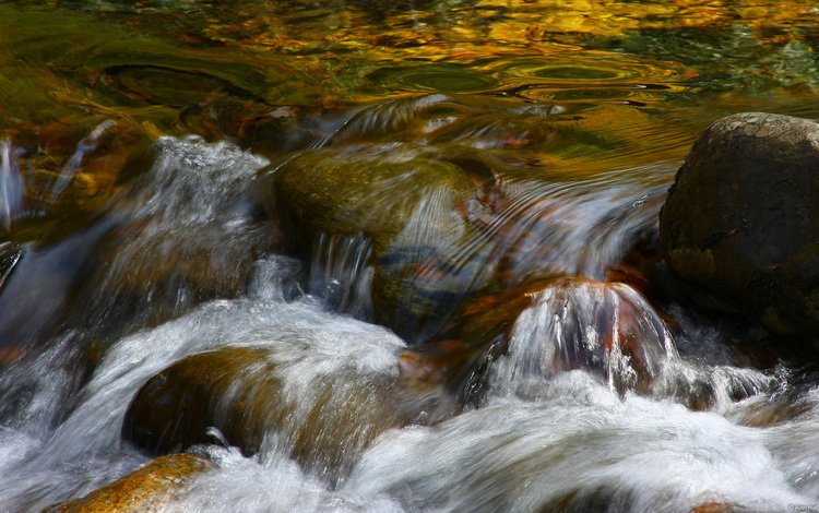 вода, камни, ручей, поток, water, stones, stream