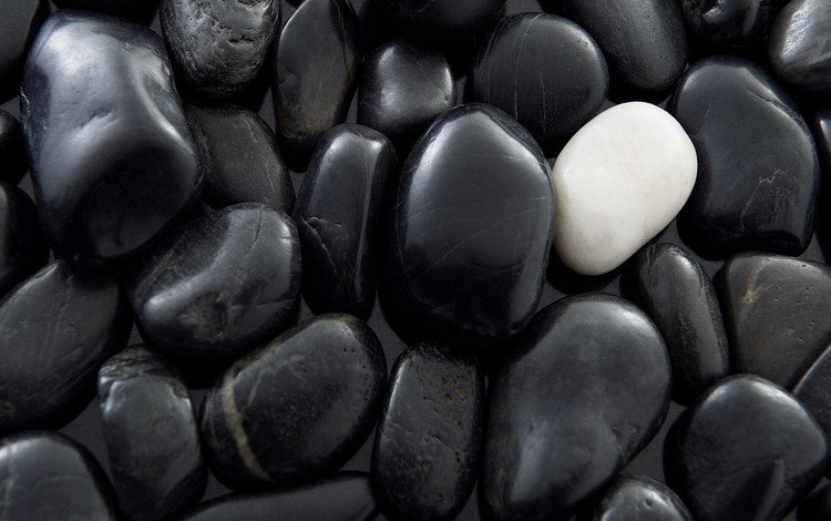 камни, галька, макро, белый, чёрные, не такой как все, stones, pebbles, macro, white, black, not like everyone else