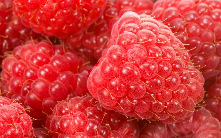 макро, малина, ягода, спелая, красная малинка, macro, raspberry, berry, ripe, red raspberry
