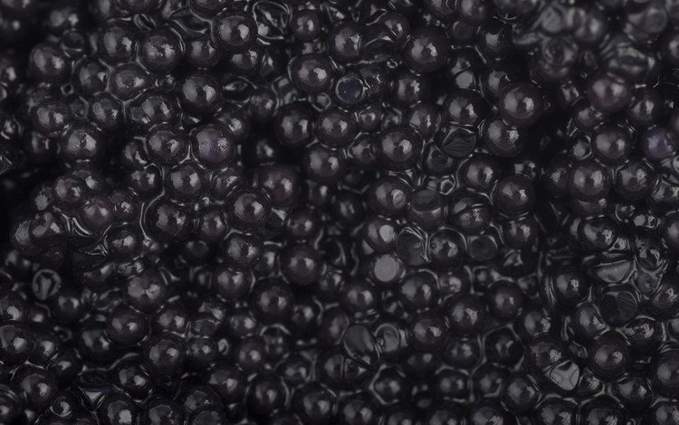 черная, икра, морепродукты, зернистая, черная икра, black, caviar, seafood, granular, black caviar