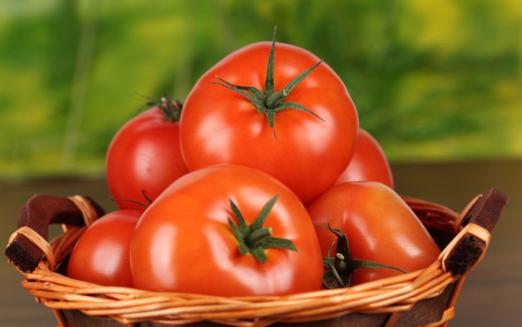 еда, красные, овощи, помидоры, томат, помидоры в корзинке, food, red, vegetables, tomatoes, tomato, tomatoes in a basket