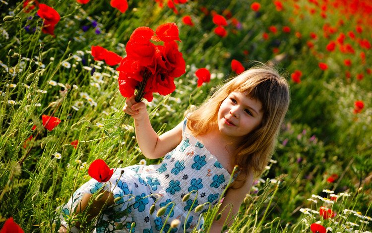 цветы, поле, лето, дети, девочка, ребенок, счастье, детство, flowers, field, summer, children, girl, child, happiness, childhood
