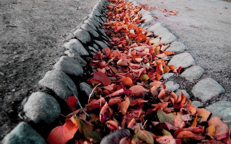 камни, листья, макро, осень, колея, ров, stones, leaves, macro, autumn, track, ditch