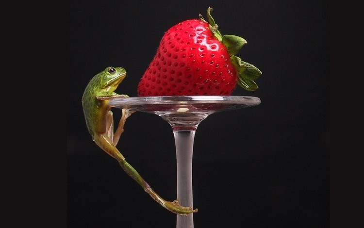 клубника, лягушка, strawberry, frog