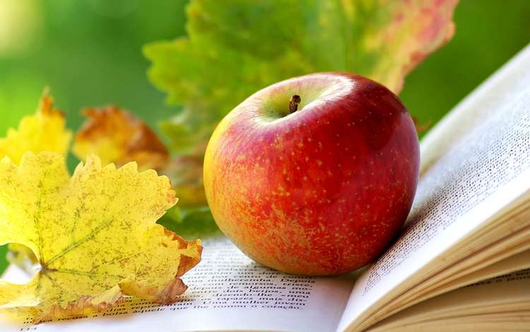 листья, яблоко, книга, leaves, apple, book