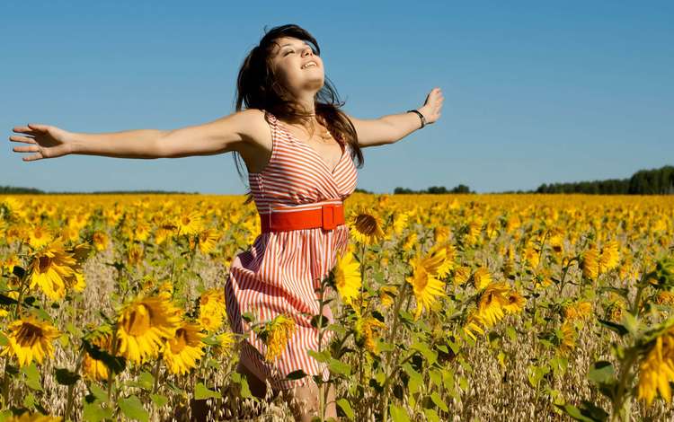 девушка, поле, радость, подсолнухи, girl, field, joy, sunflowers