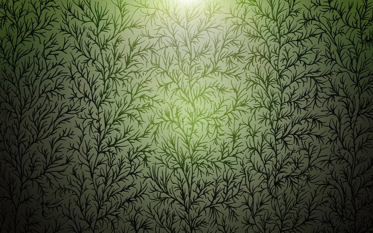 текстура, зелёный, ветки, узор, стебли, растение, растительность, texture, green, branches, pattern, stems, plant, vegetation