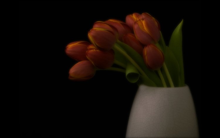 темный фон, букет, тюльпаны, ваза, the dark background, bouquet, tulips, vase