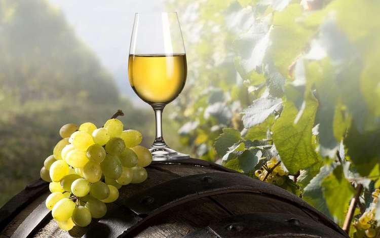 виноград, бокал, вино, кисть, бочка, grapes, glass, wine, brush, barrel