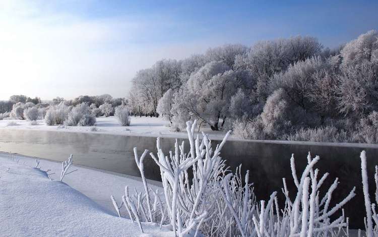 небо, деревья, река, снег, природа, зима, the sky, trees, river, snow, nature, winter