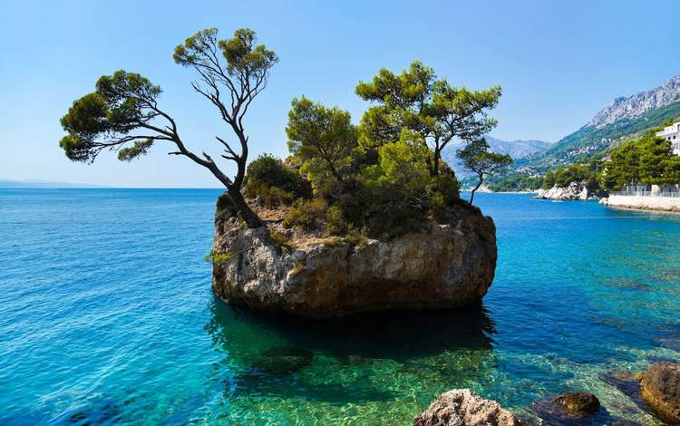 деревья, море, остров, хорватия, trees, sea, island, croatia