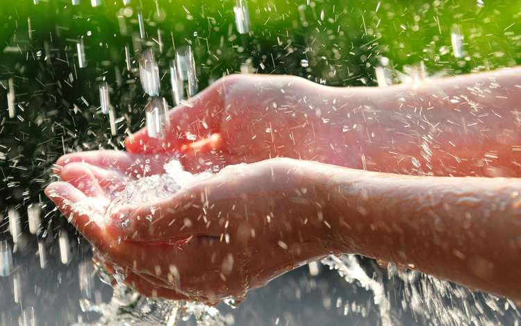 вода, капли, дождь, руки, ладони, water, drops, rain, hands, palm