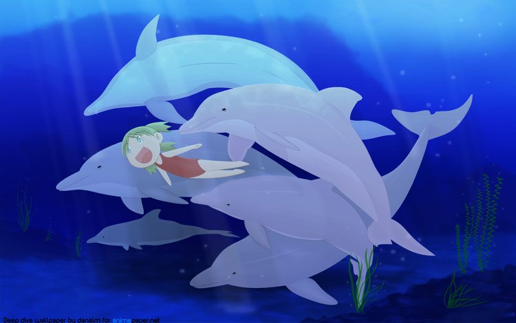 животное, дельфин, koiwai yotsuba, yotsubato, подводная, animal, dolphin, yotsuba koiwai, underwater