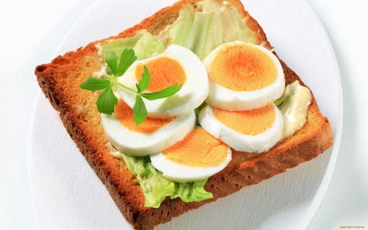 бутерброд, хлеб, яйцо, петрушка, тост, sandwich, bread, egg, parsley, toast