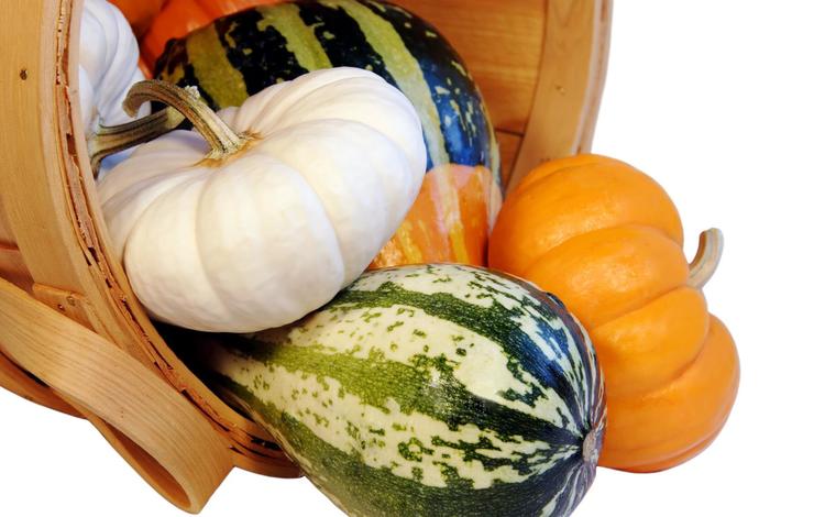 белый фон, овощи, тыква, короб, white background, vegetables, pumpkin, box