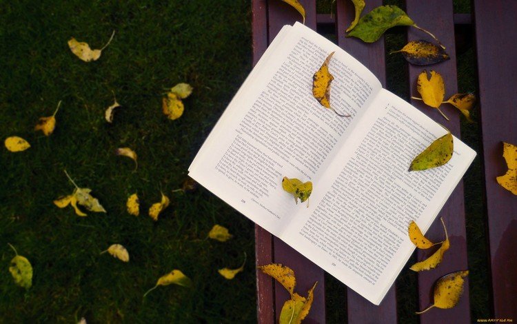 трава, листья, осень, скамейка, листопад, книга, grass, leaves, autumn, bench, falling leaves, book