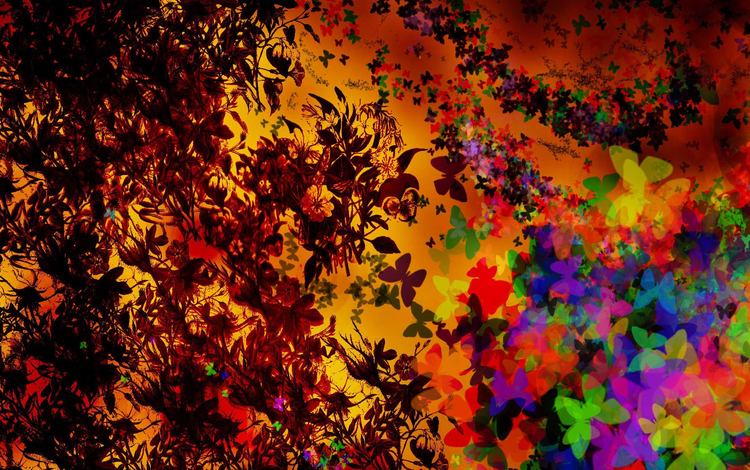 цветы, абстракция, узор, цвет, фракталы, бабочки, flowers, abstraction, pattern, color, fractals, butterfly