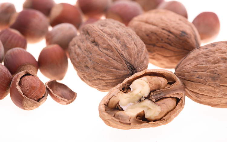 орехи, белый фон, фундук, скорлупа, грецкие, грецкие орехи, ядра, nuts, white background, hazelnuts, shell, walnut, walnuts, kernel