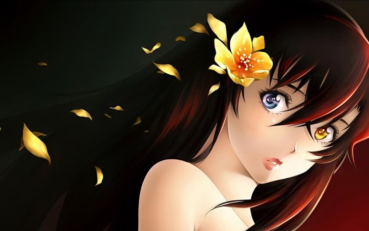девушка, цветок, портрет, взгляд, аниме, волосы, лицо, girl, flower, portrait, look, anime, hair, face