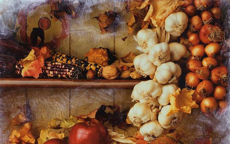 орехи, чеснок, яблоки, осень, лук, кукуруза, урожай, овощи, натюрморт, nuts, garlic, apples, autumn, bow, corn, harvest, vegetables, still life