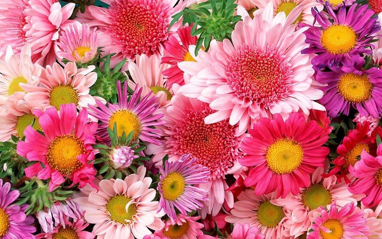цветы, ярко, букет, много, красиво, flowers, bright, bouquet, a lot, beautiful