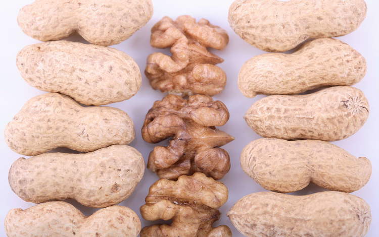 орехи, арахис, грецкие, грецкие орехи, земляной орех, nuts, peanuts, walnut, walnuts, groundnuts