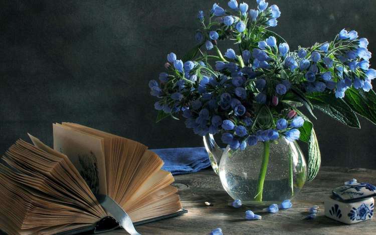 цветы, букет, ваза, голубые, книга, натюрморт, шкатулка, весенние, flowers, bouquet, vase, blue, book, still life, box, spring