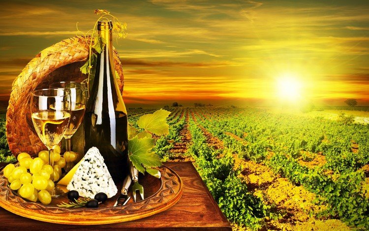 солнце, маслины, виноград, вино белое, сыр, дор блю, вино, бутылка, бокалы, виноградная лоза, виноградник, the sun, olives, grapes, white wine, cheese, dor blue, wine, bottle, glasses, vine, vineyard
