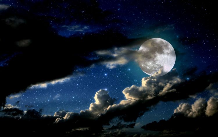 ночь, луна, night, the moon