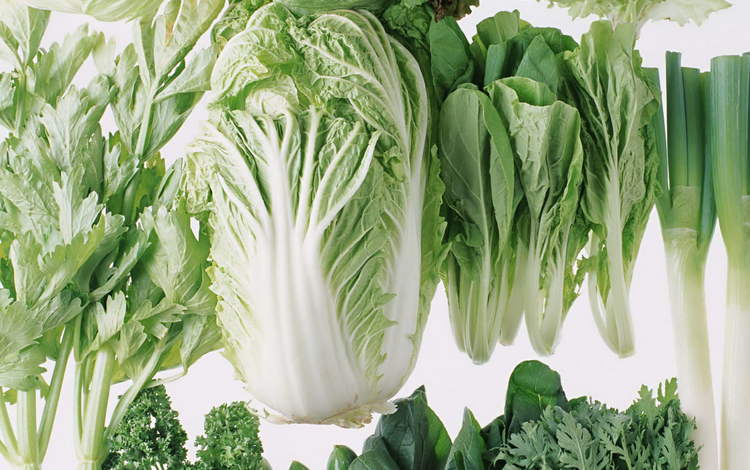 зелень, лук, овощи, капуста, петрушка, greens, bow, vegetables, cabbage, parsley