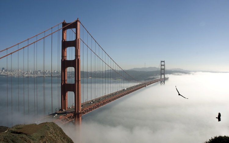 bridge -sky -fog