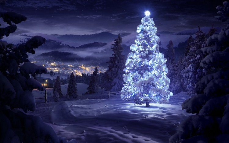 новый год, елка, лес, зима, праздник, рождество, зимний, новогодняя, в лесу, new year, tree, forest, winter, holiday, christmas, in the woods