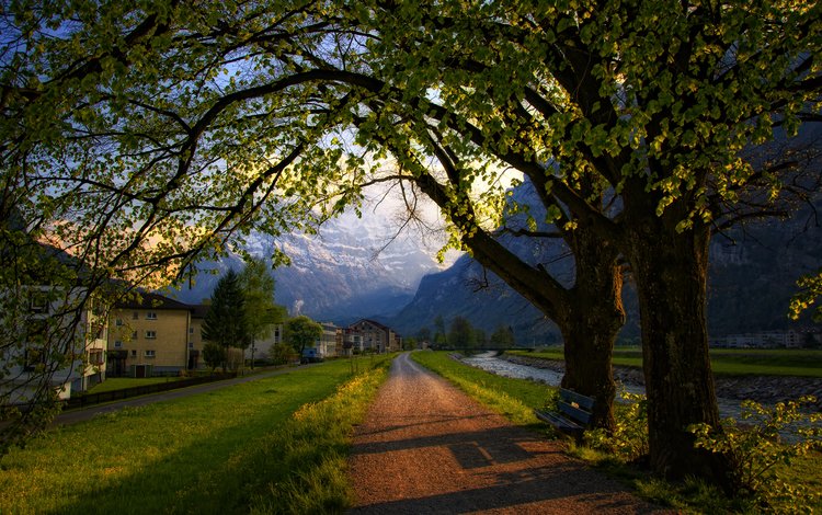 дорога, деревья, вечер, швейцария, весна, road, trees, the evening, switzerland, spring