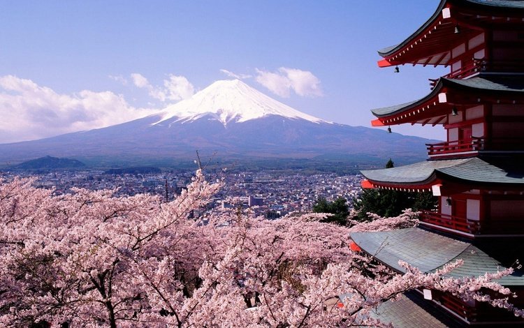 гора, весна, сакура, токио, фудзиям, mountain, spring, sakura, tokyo, fujian