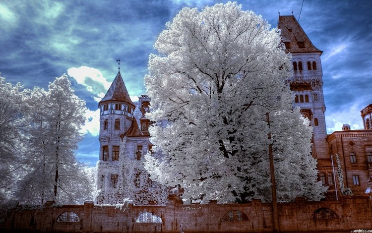 зима, трансильвания, замок дракулы, winter, transylvania, dracula's castle