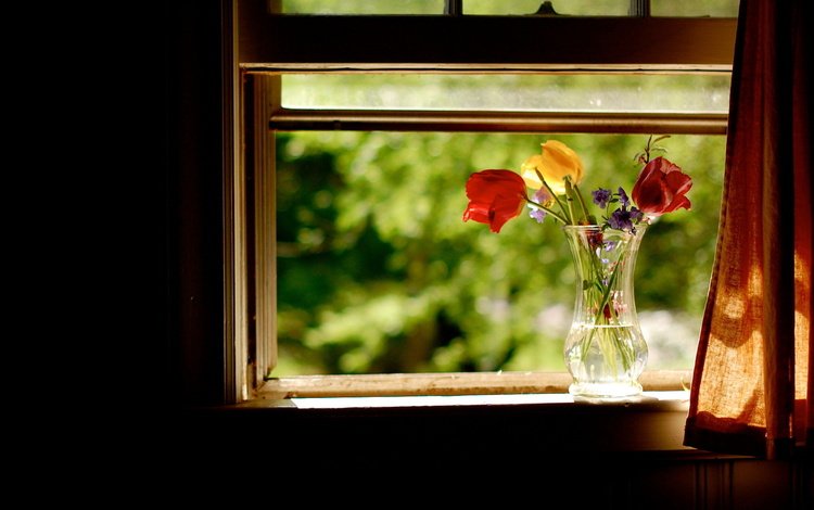 цветы, лето, день, букет, тюльпаны, окно, ваза, flowers, summer, day, bouquet, tulips, window, vase